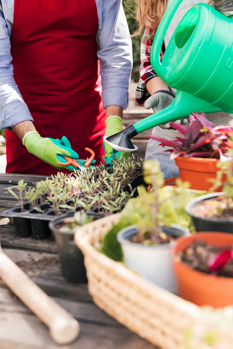Environmental Landscaping